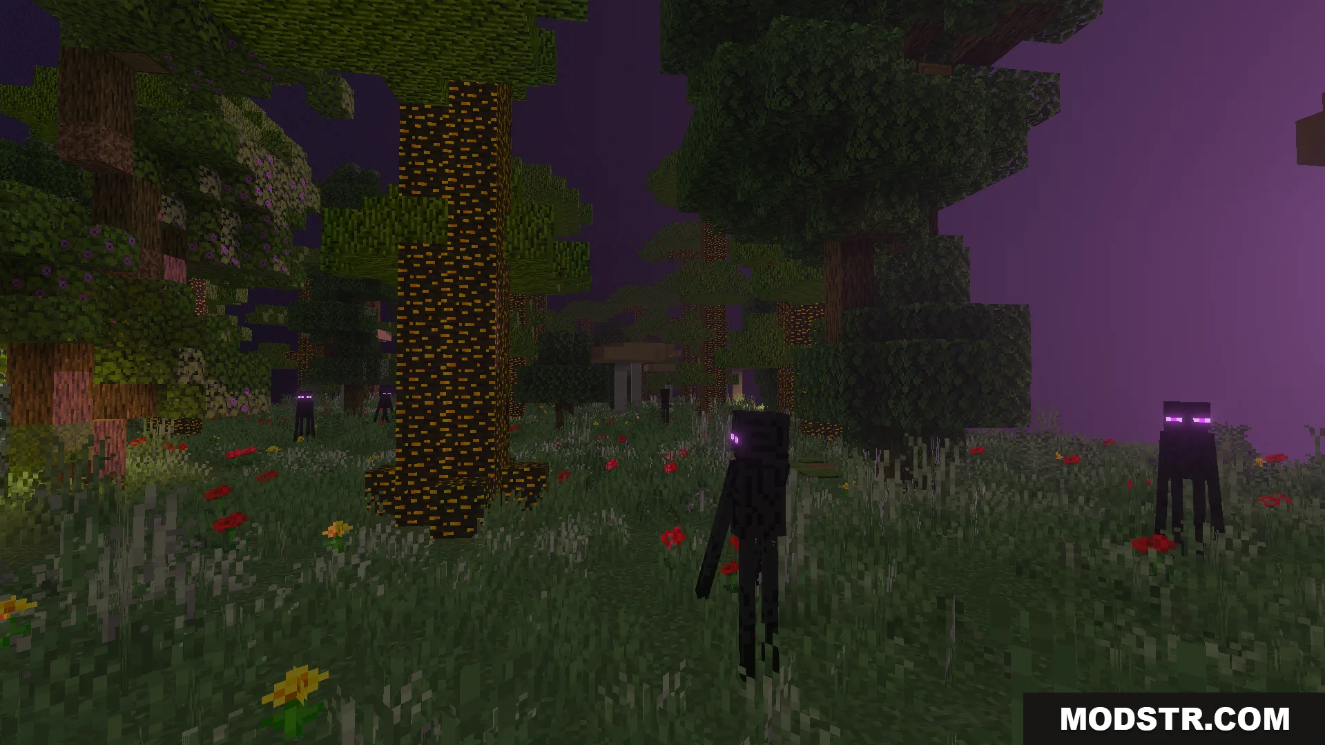 Twilight Abyss Dimension Addon Screenshot 9 Endermen roaming the Umbra Birch biome with glowing trees and purple sky