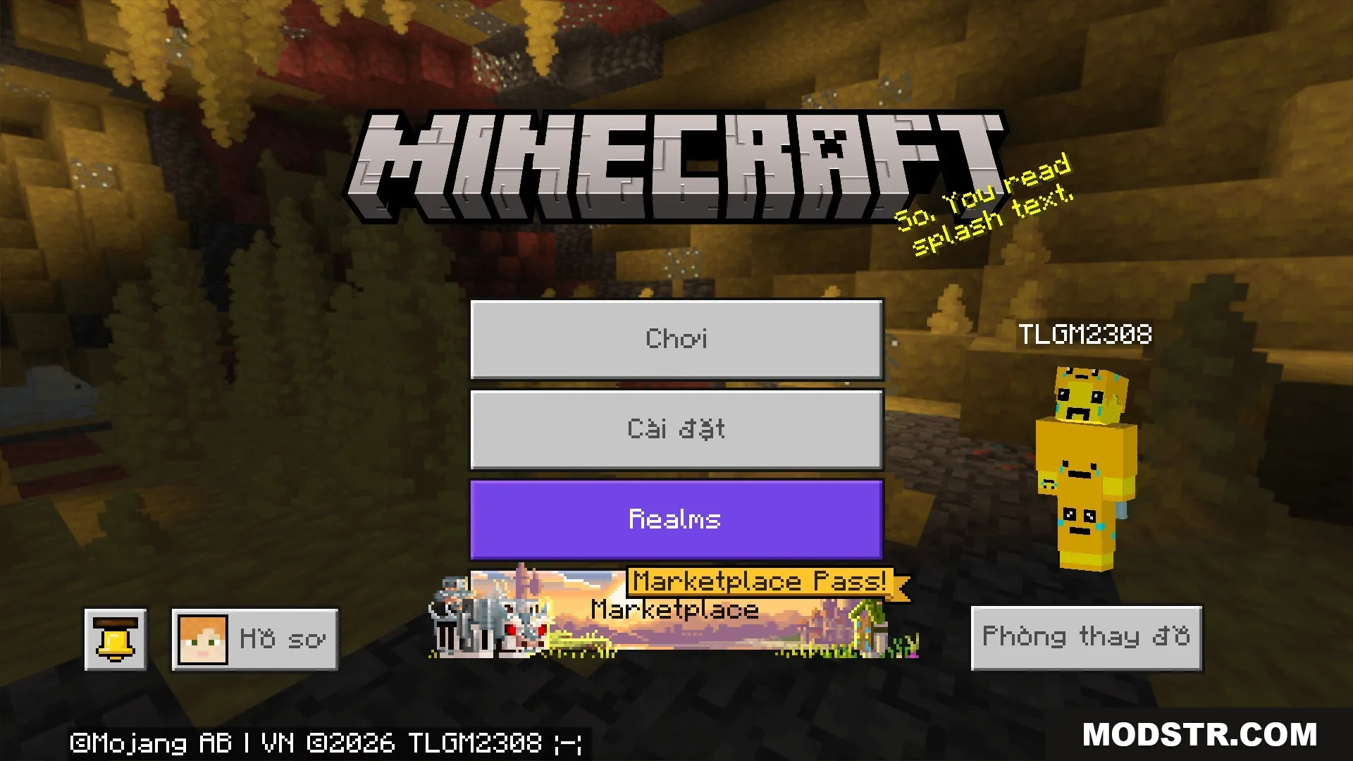 Main menu screen with Vietnamese language translations for play and settings buttons
