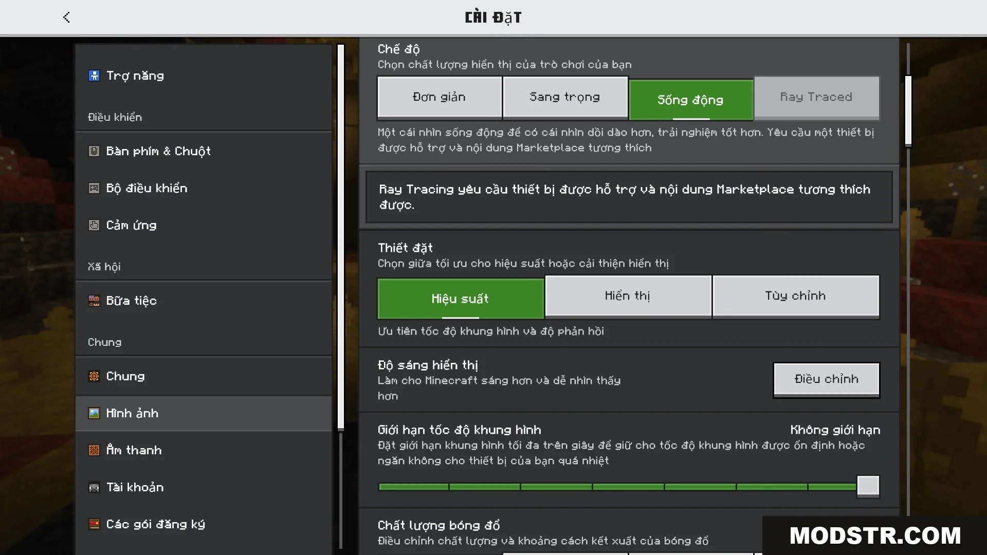 Minecraft settings menu with Vietnamese text for graphics performance and display configuration options