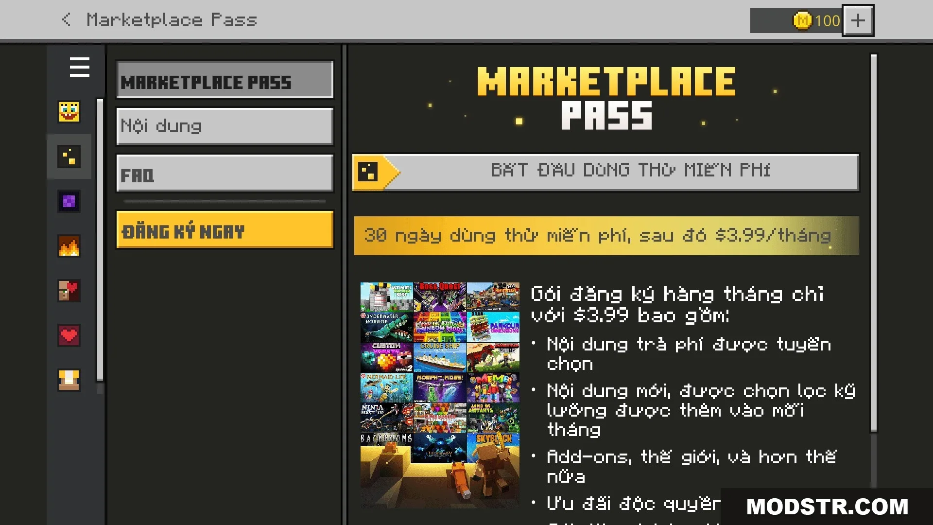 Marketplace Pass menu screen translated into Vietnamese showing subscription details and monthly pricing
