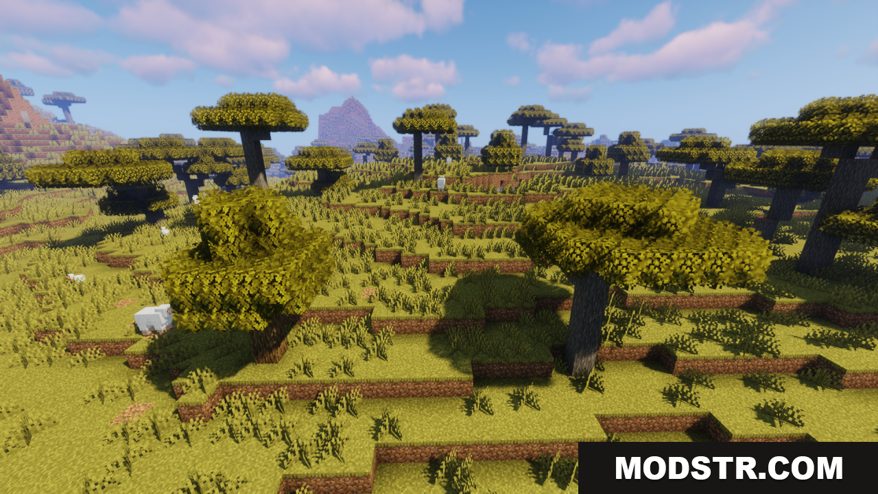 Bushy acacia trees scattered across a sunny savanna biome landscape