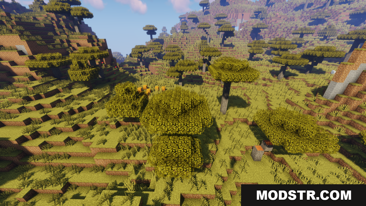 Savanna trees with thick bushy leaves in a sunny landscape