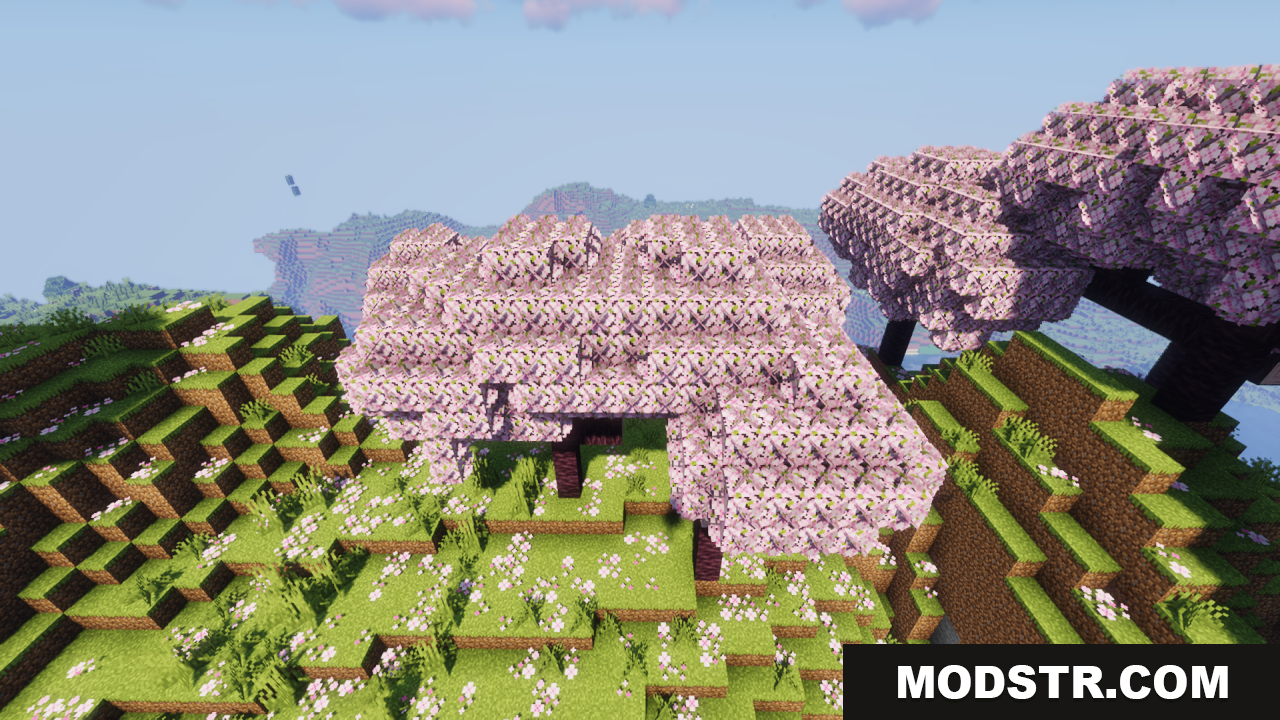 Angled view of bushy pink cherry blossom trees on a grassy hill