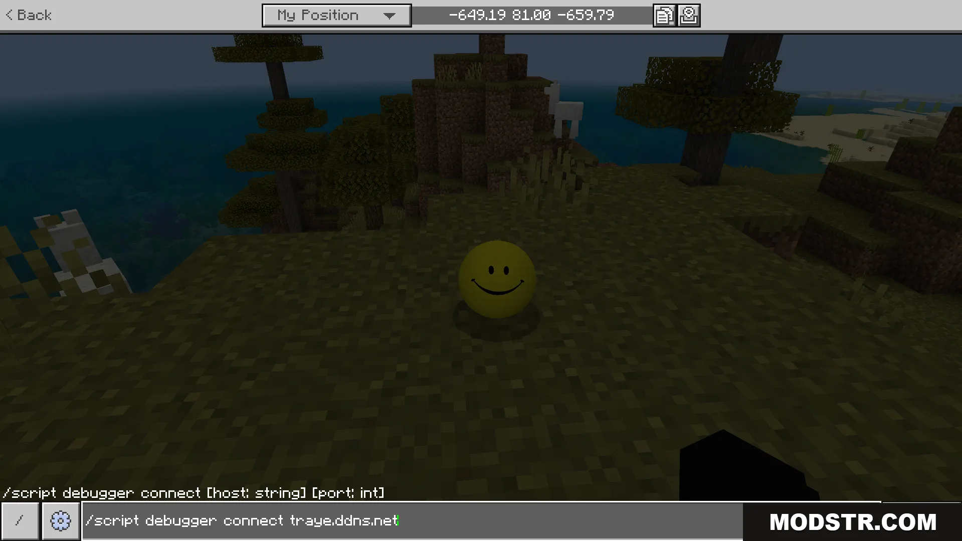 Verity BE Addon Screenshot 5 Player typing a script debugger command to connect the yellow companion