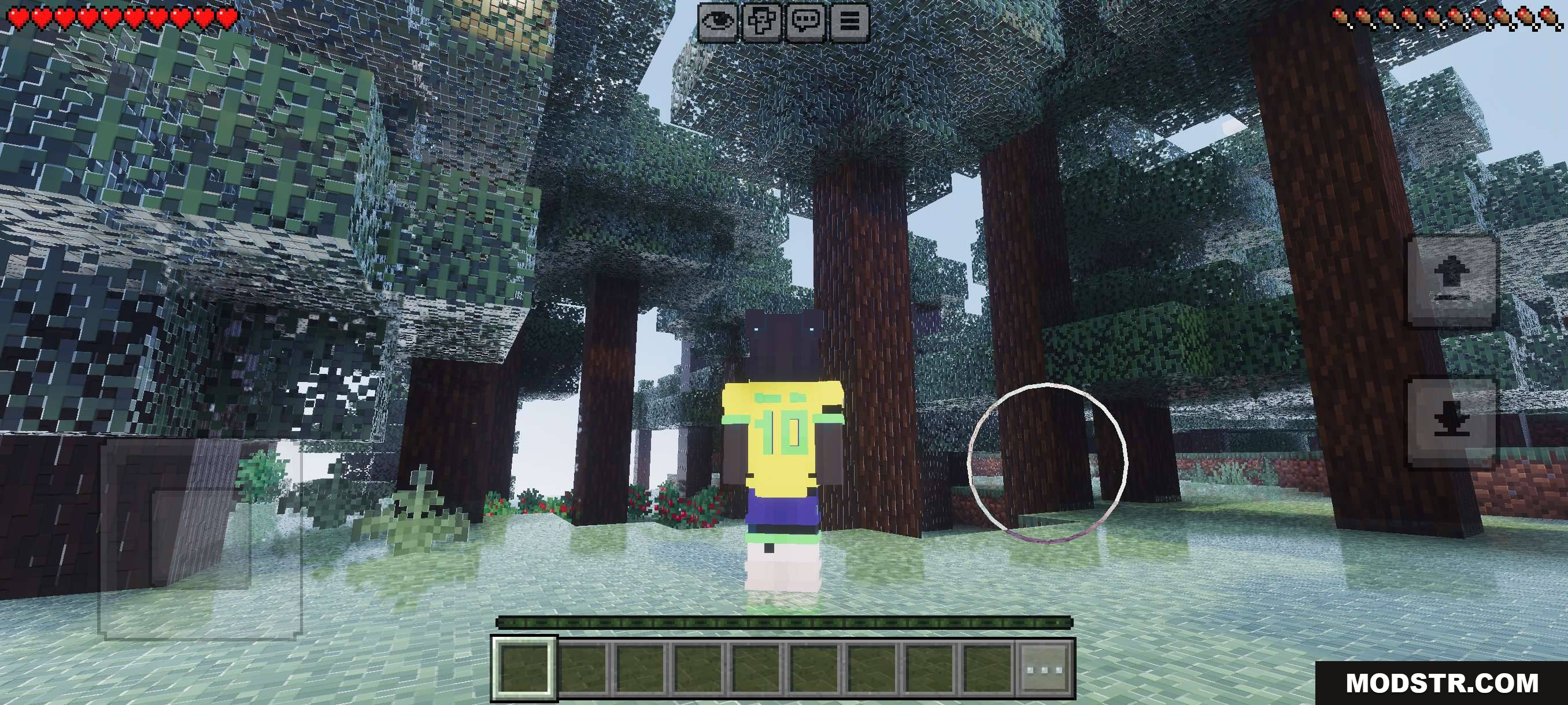 VFX Shaders V3 MCPE/Bedrock Shader Screenshot 8 VFX SHADERS FANTASY