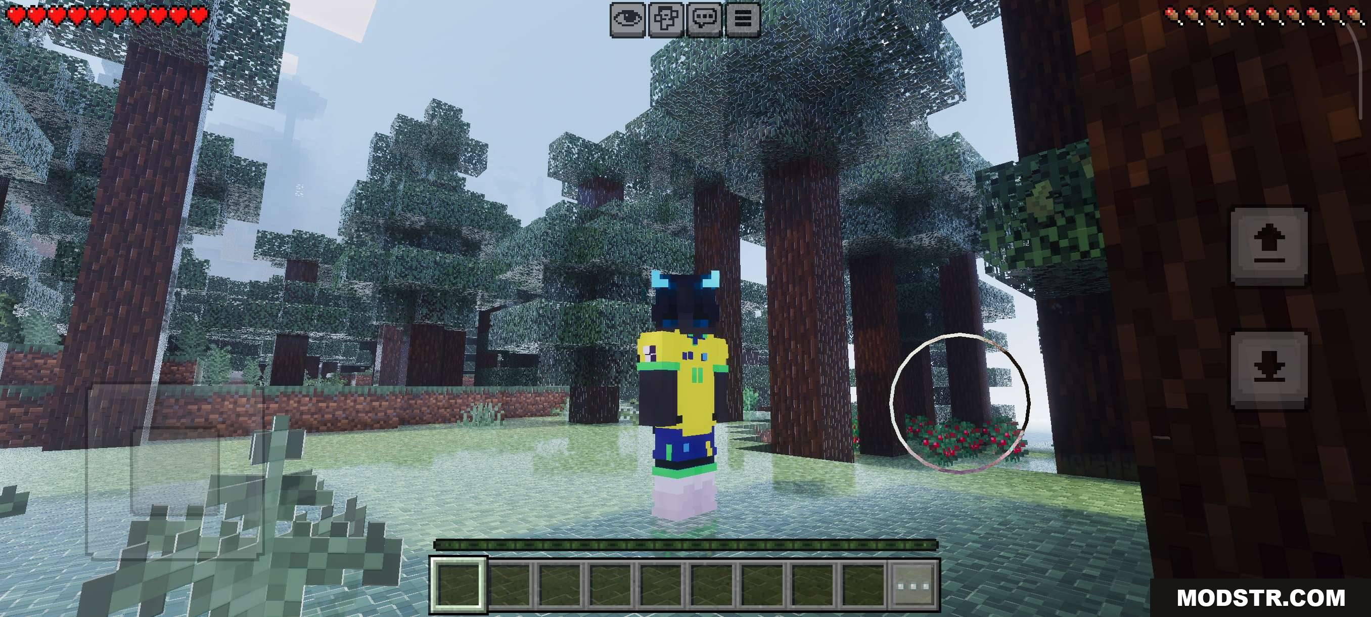 VFX Shaders V3 MCPE/Bedrock Shader Screenshot 10 VFX SHADERS FANTASY