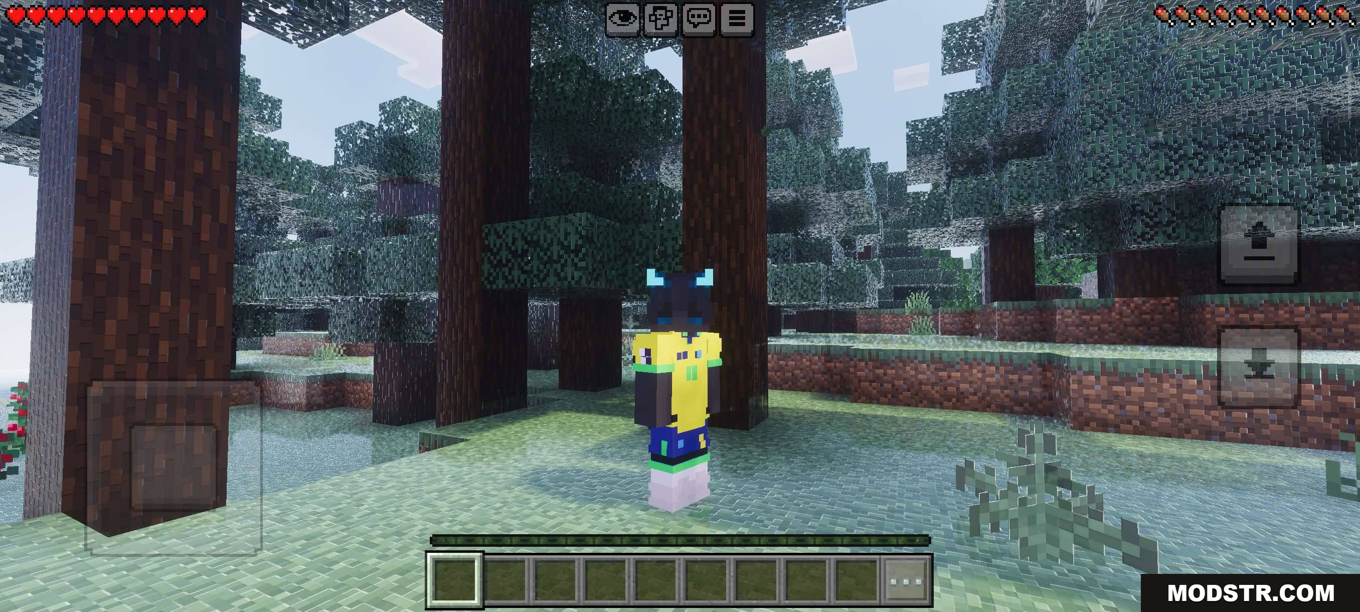 VFX Shaders V3 MCPE/Bedrock Shader Screenshot 6 VFX SHADERS FANTASY
