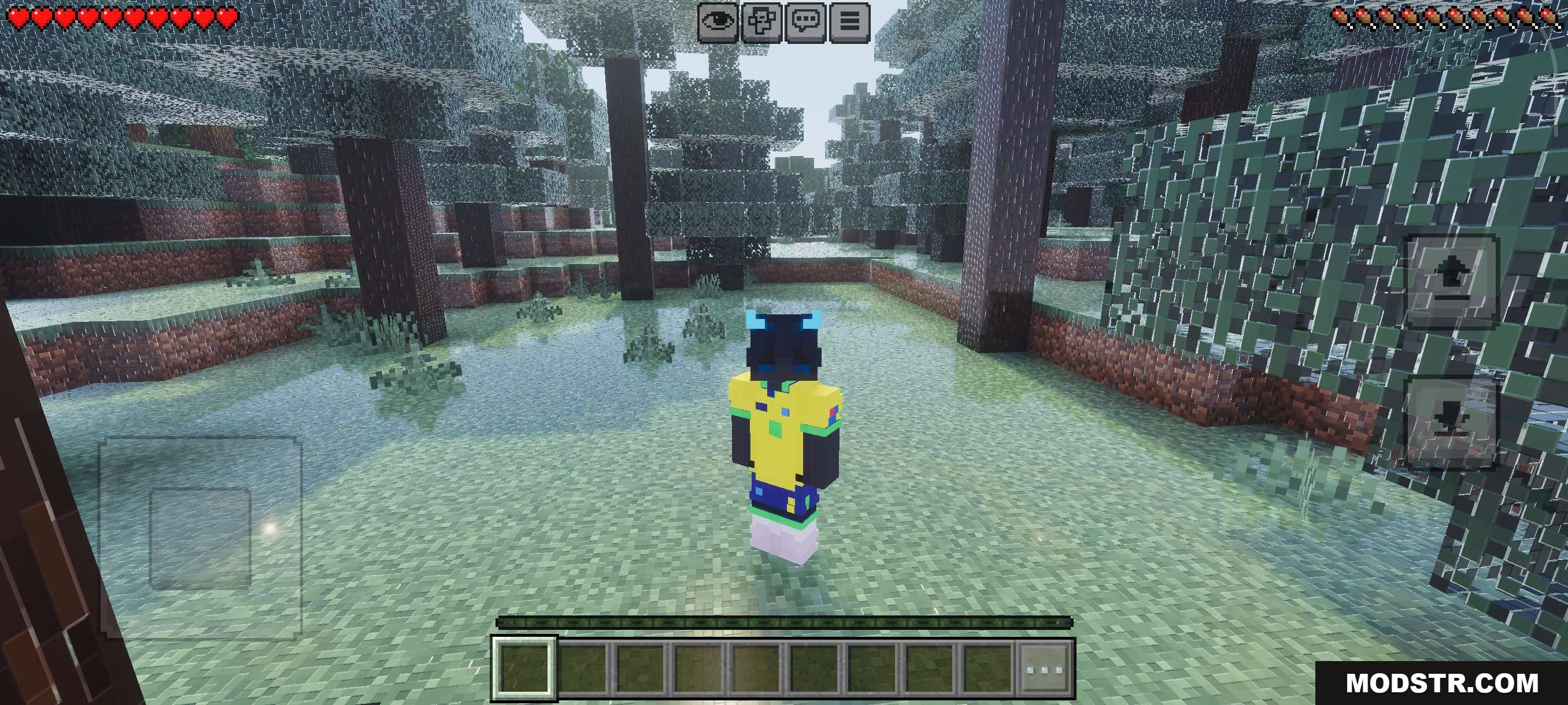 VFX Shaders V3 MCPE/Bedrock Shader Screenshot 9 VFX SHADERS FANTASY