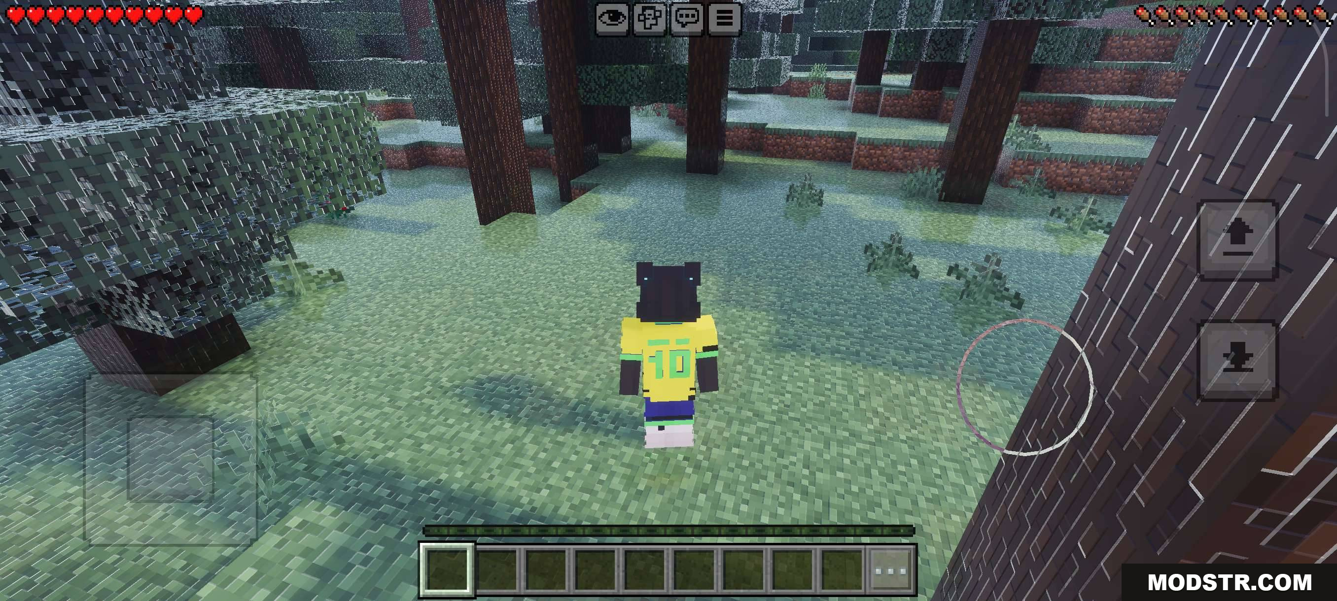 VFX Shaders V3 MCPE/Bedrock Shader Screenshot 7 VFX SHADERS FANTASY