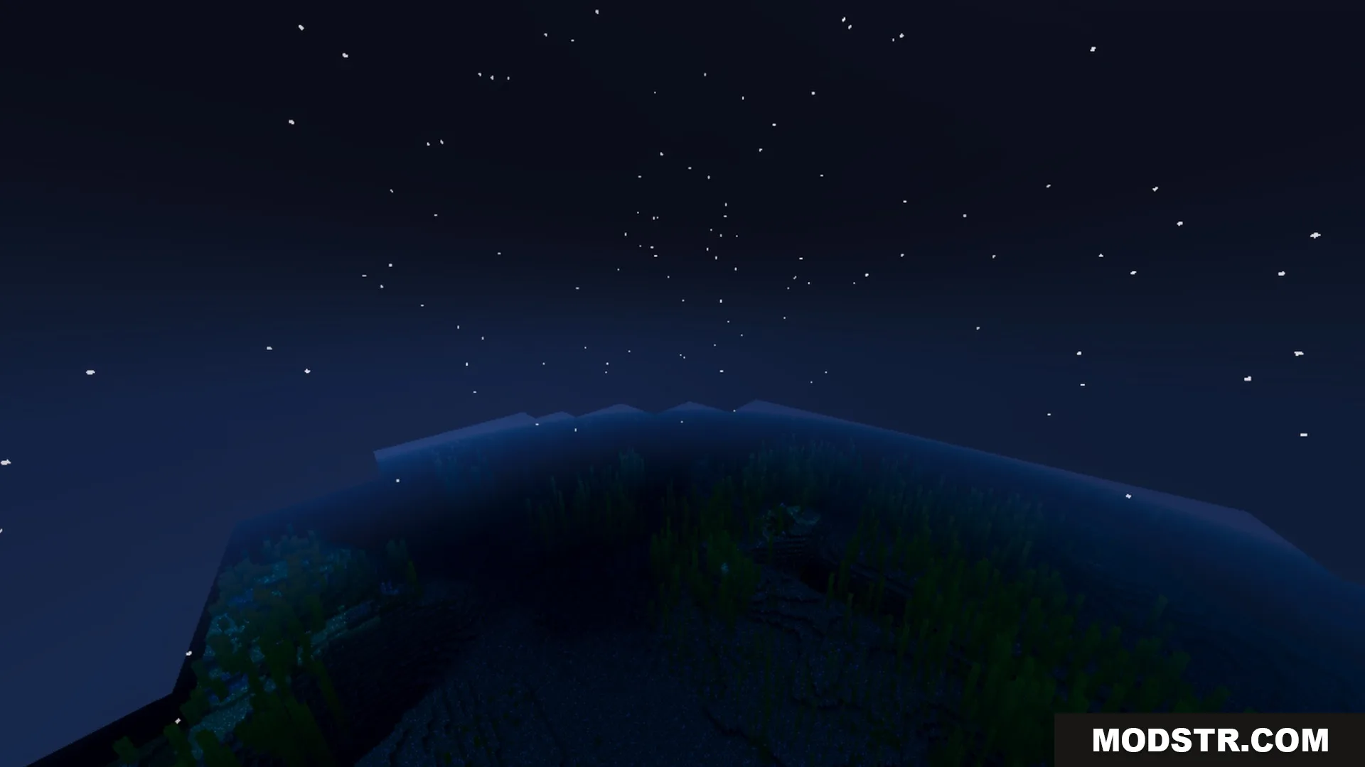Vibrant Legacy L Espace Shader Screenshot 5 Dark underwater kelp forest under a starry night sky in Minecraft