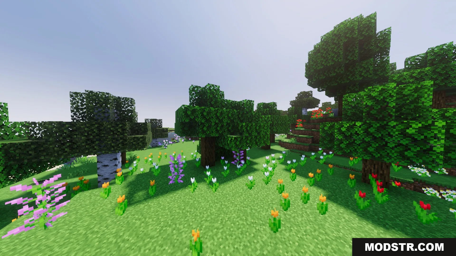 Vibrant Legacy L Espace Shader Screenshot 10 Colorful flower field and trees under a bright sky with enhanced lighting