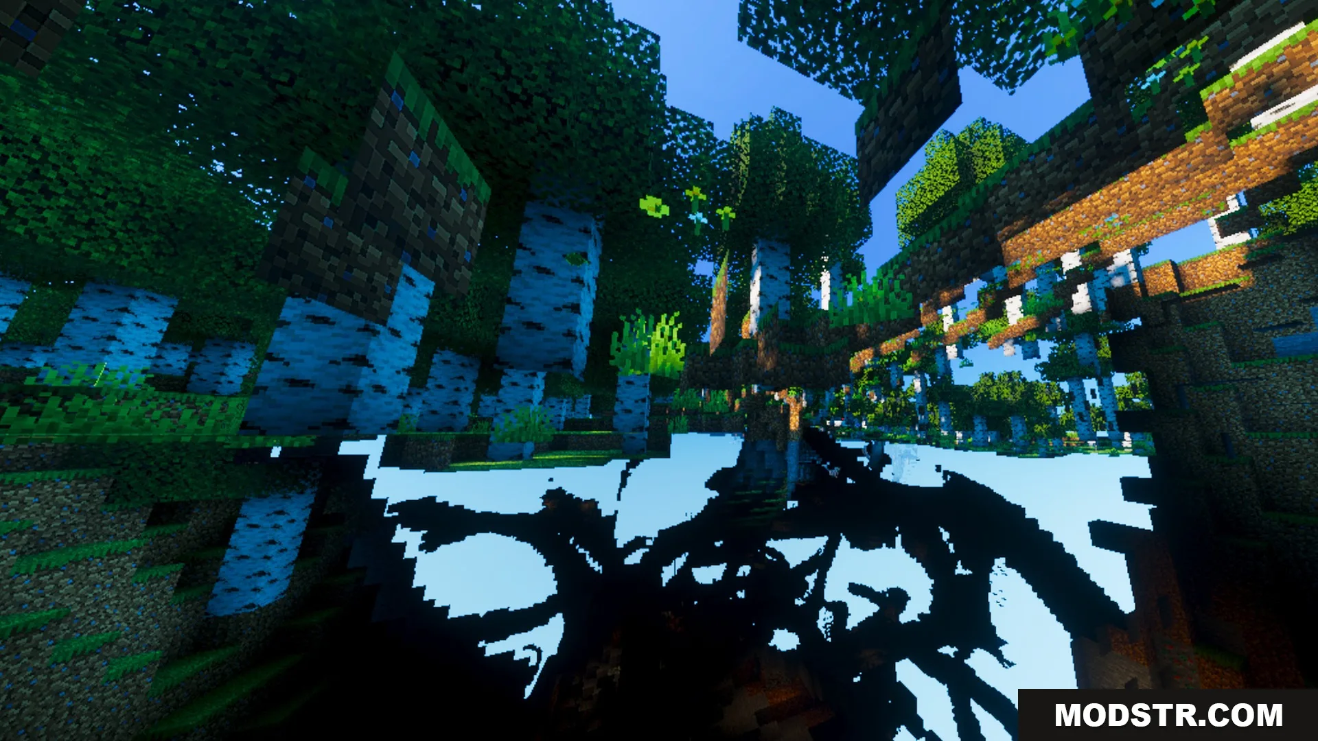 Vibrant Rtx Visuals Shader Screenshot 8 Lush green trees and birch trunks with sharp shadows in a dense forest