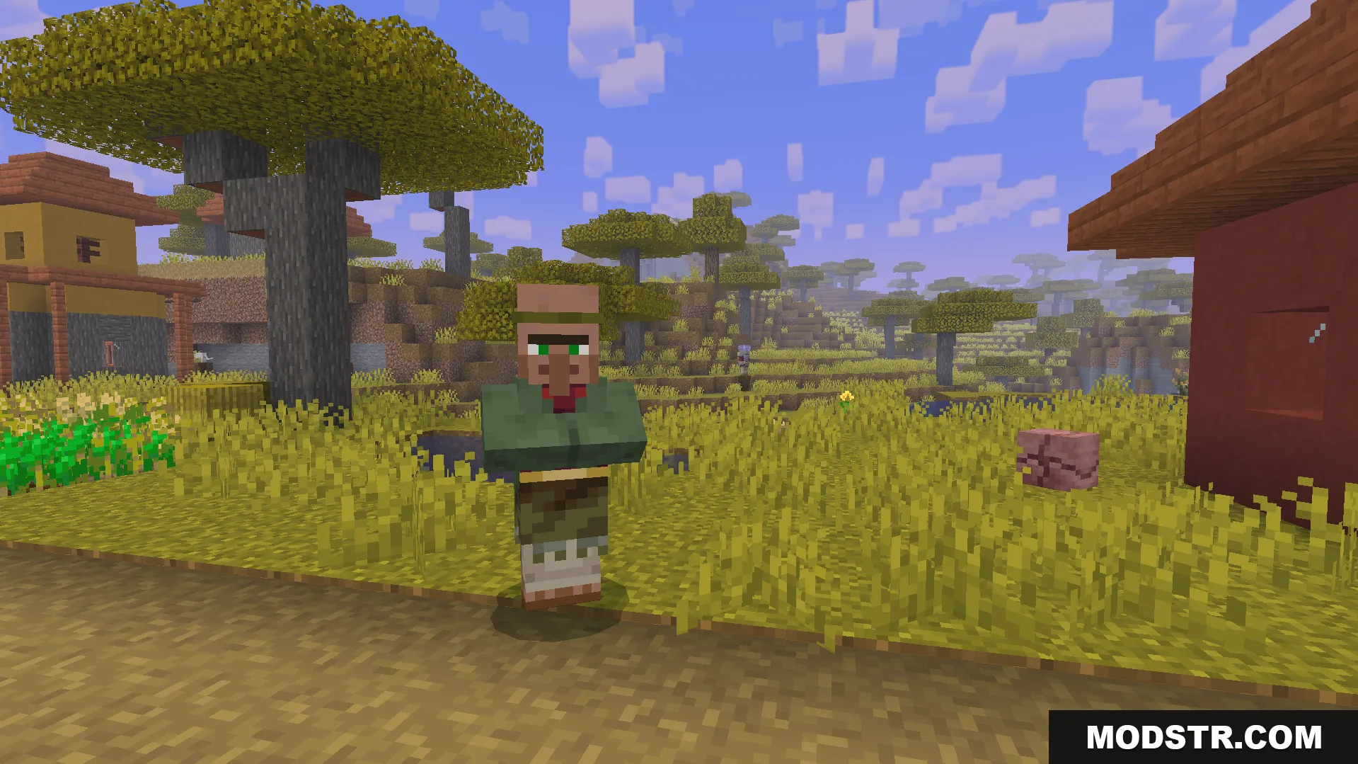 A villager wearing a green shirt stands in a savanna village
