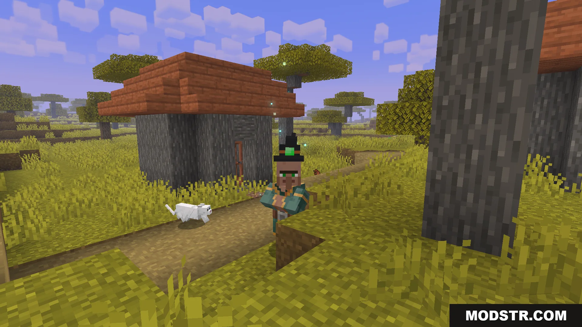 Villager with witch hat standing on a dirt path next to a white cat