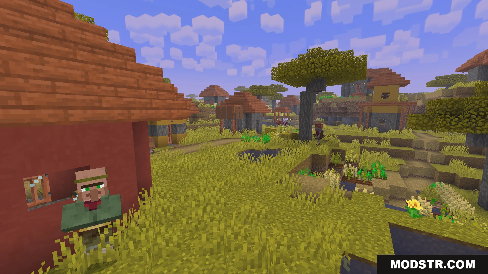 Villager standing next to a red house in a savanna village