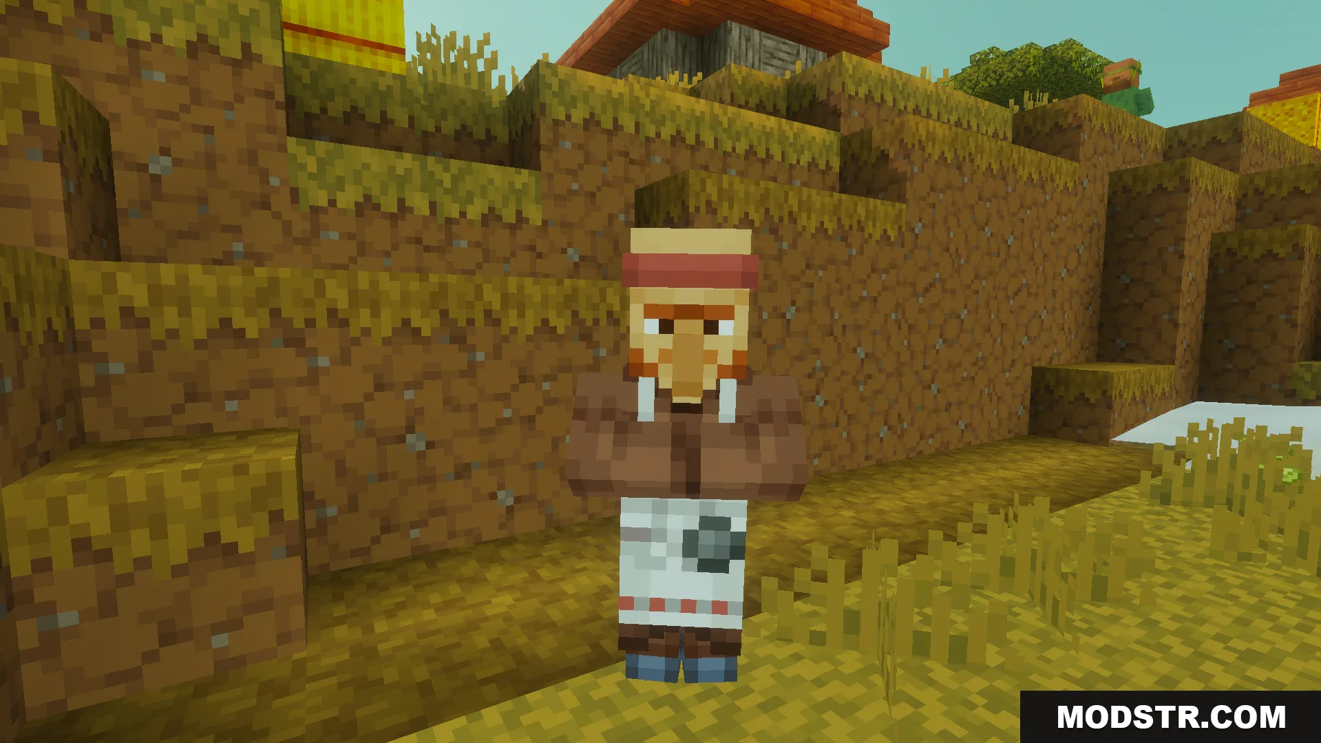 Minecraft butcher villager standing on a dirt path in a village