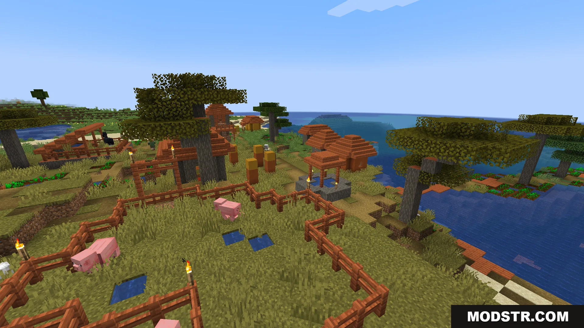 Pink pigs roaming inside a wooden enclosure within a scenic savanna village