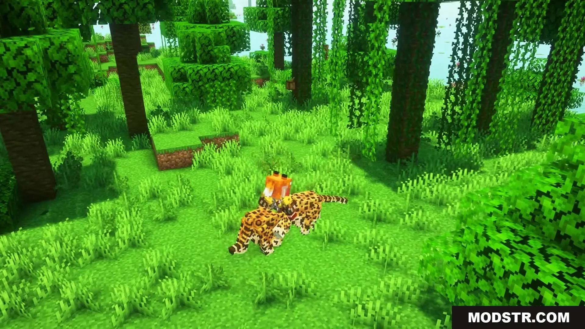Visualhealth Mod Screenshot 6 A player rides a leopard displaying visible red wounds from battle damage