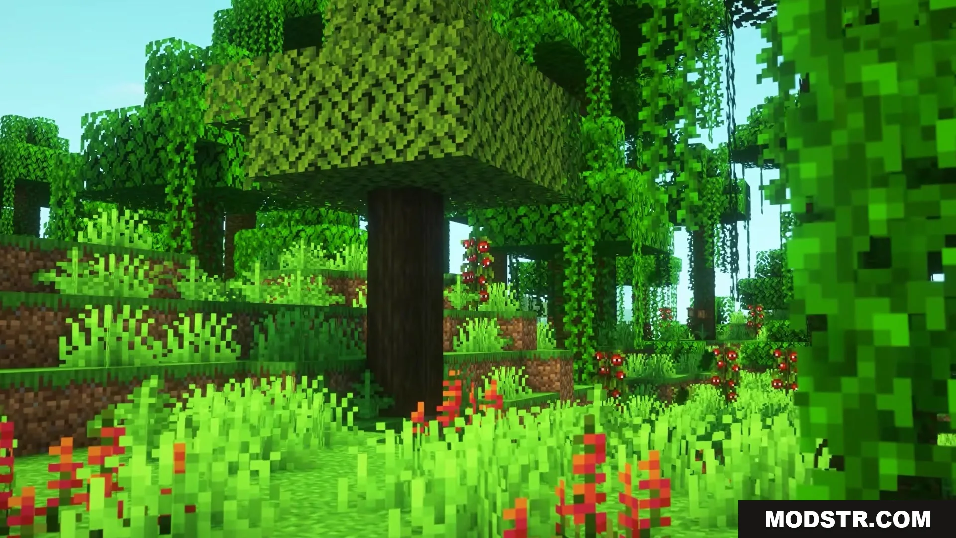 Visualhealth Mod Screenshot 3 Lush jungle biome with tall trees and vibrant red flowers on grass