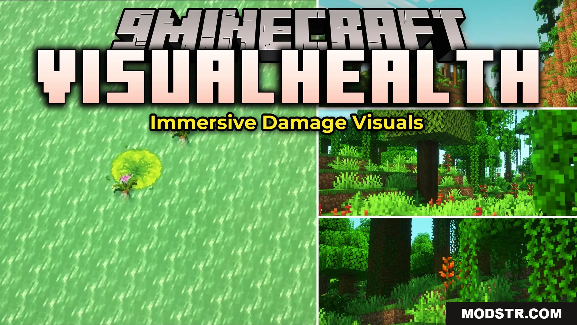 Visualhealth Mod (26.2, 1.20.1) – Track Enemy Health with Visible Battle Scars cover art