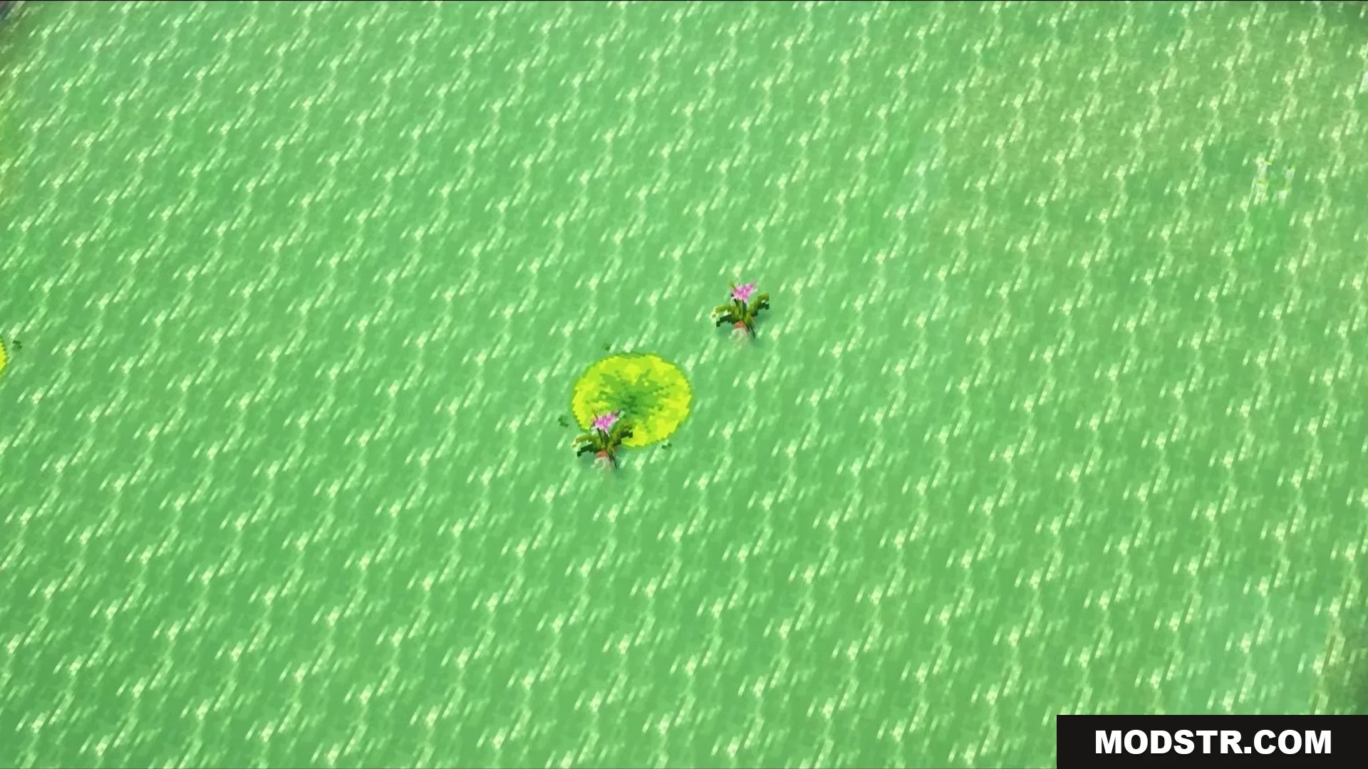 Visualhealth Mod Screenshot 1 Top down view of green swamp water with lily pads and pink flowers