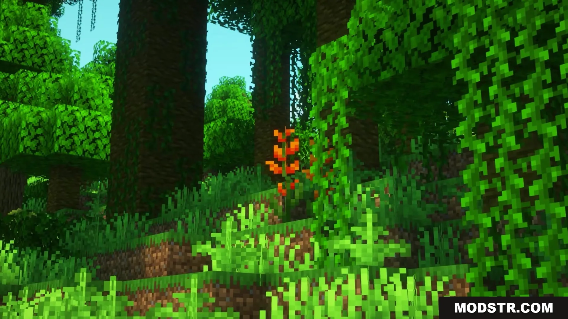 Visualhealth Mod Screenshot 4 Dense jungle forest featuring tall trees and bright orange flowers on grass