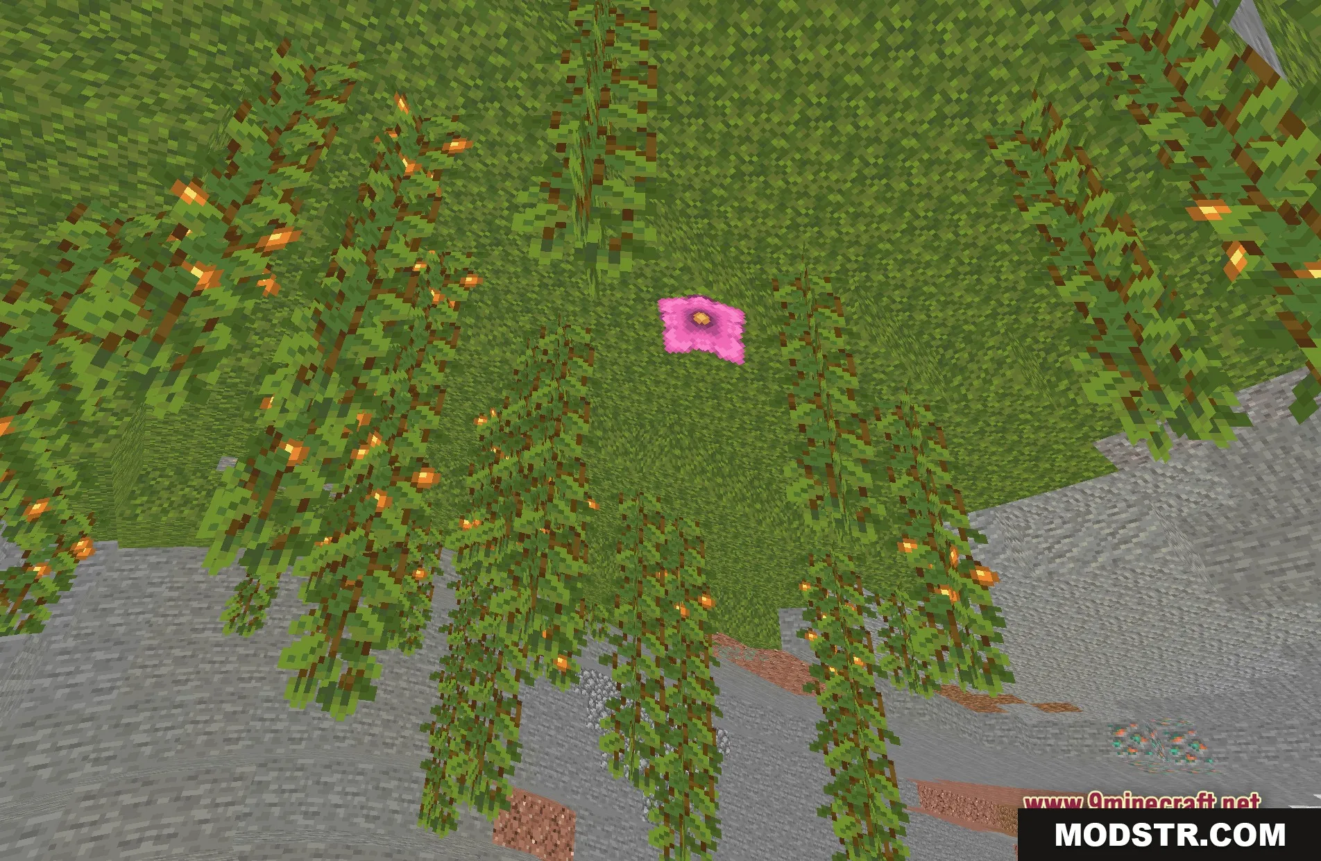 Wavy World Shaders Screenshot 1