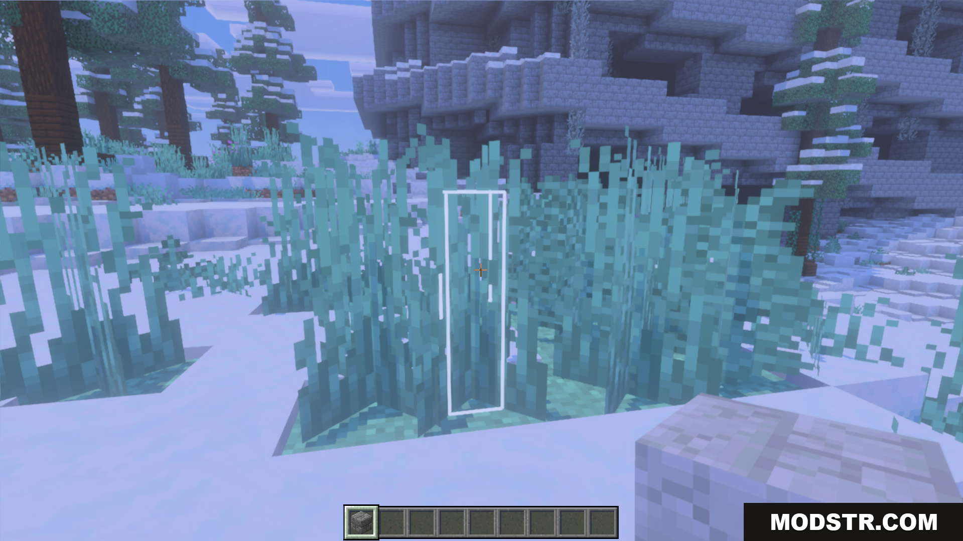White Outline Selection Plus Texture Pack Screenshot 4 A white outline highlights tall plants in a snowy biome