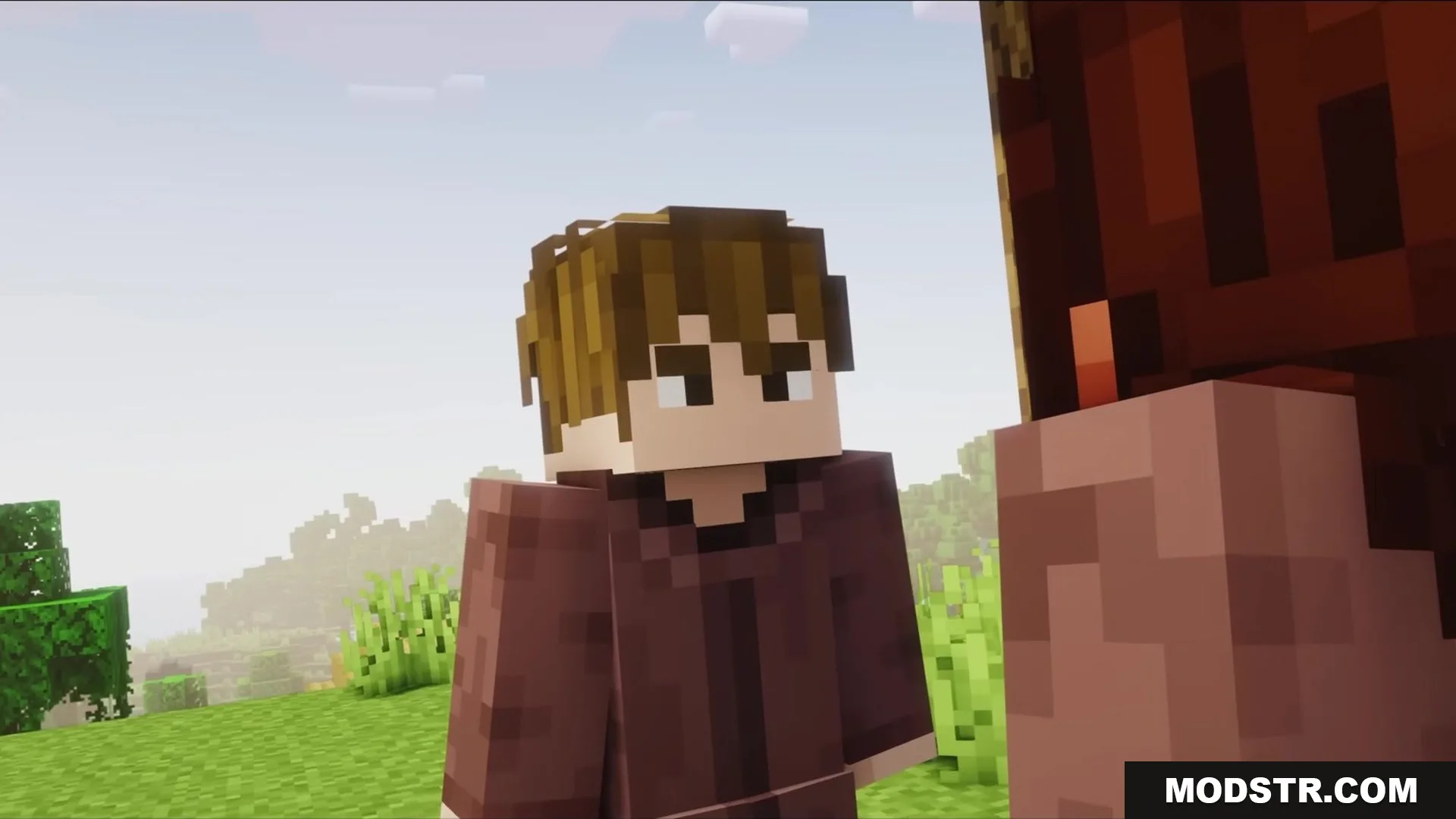 Wither Boss Summoning Animation Resource Pack Screenshot 12 Close up of a Minecraft character with brown hair wearing a brown robe