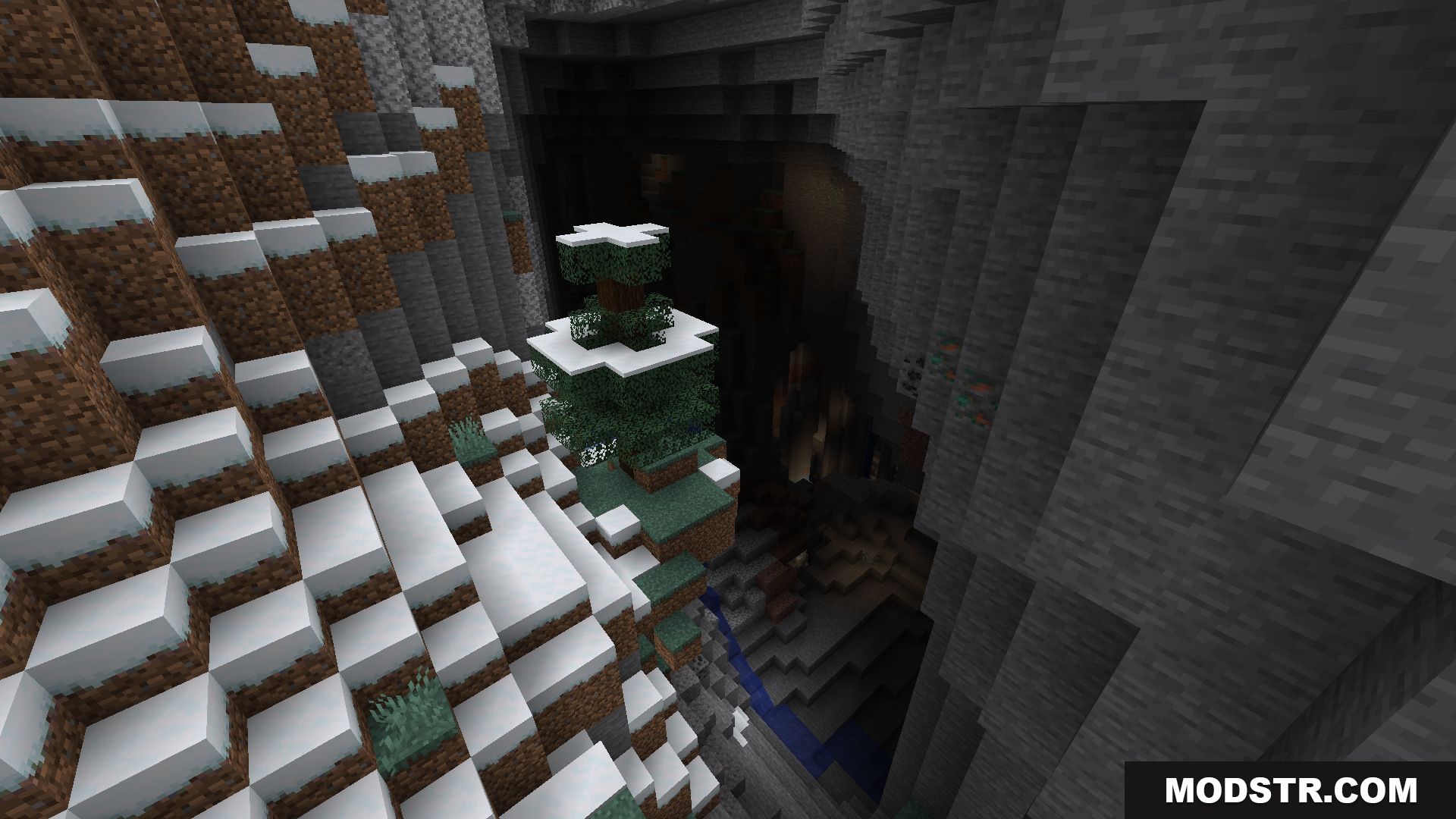 A lone, snow-covered tree overlooking a deep canyon