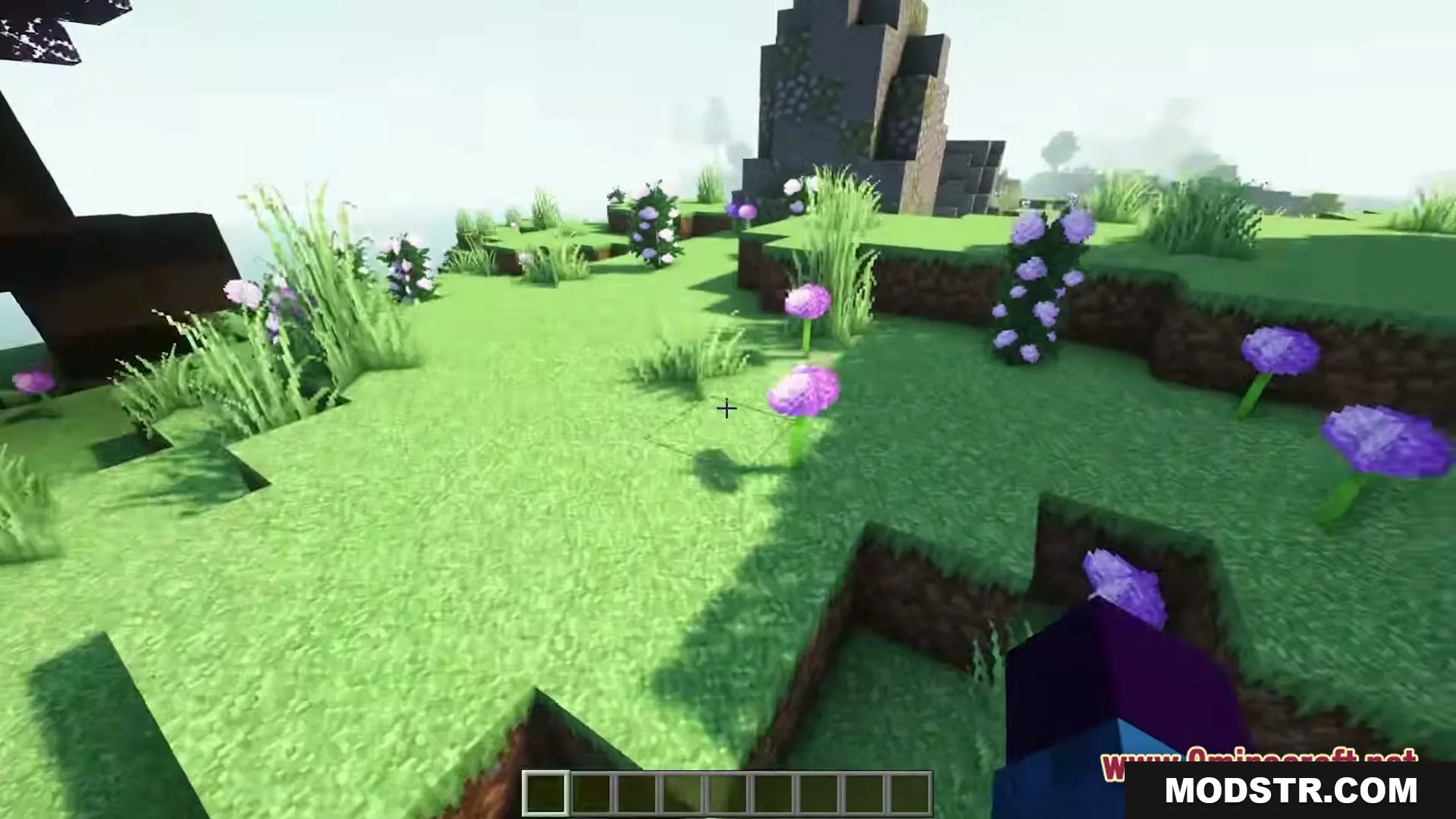 WORLD in CHUNK Map Screenshot 3