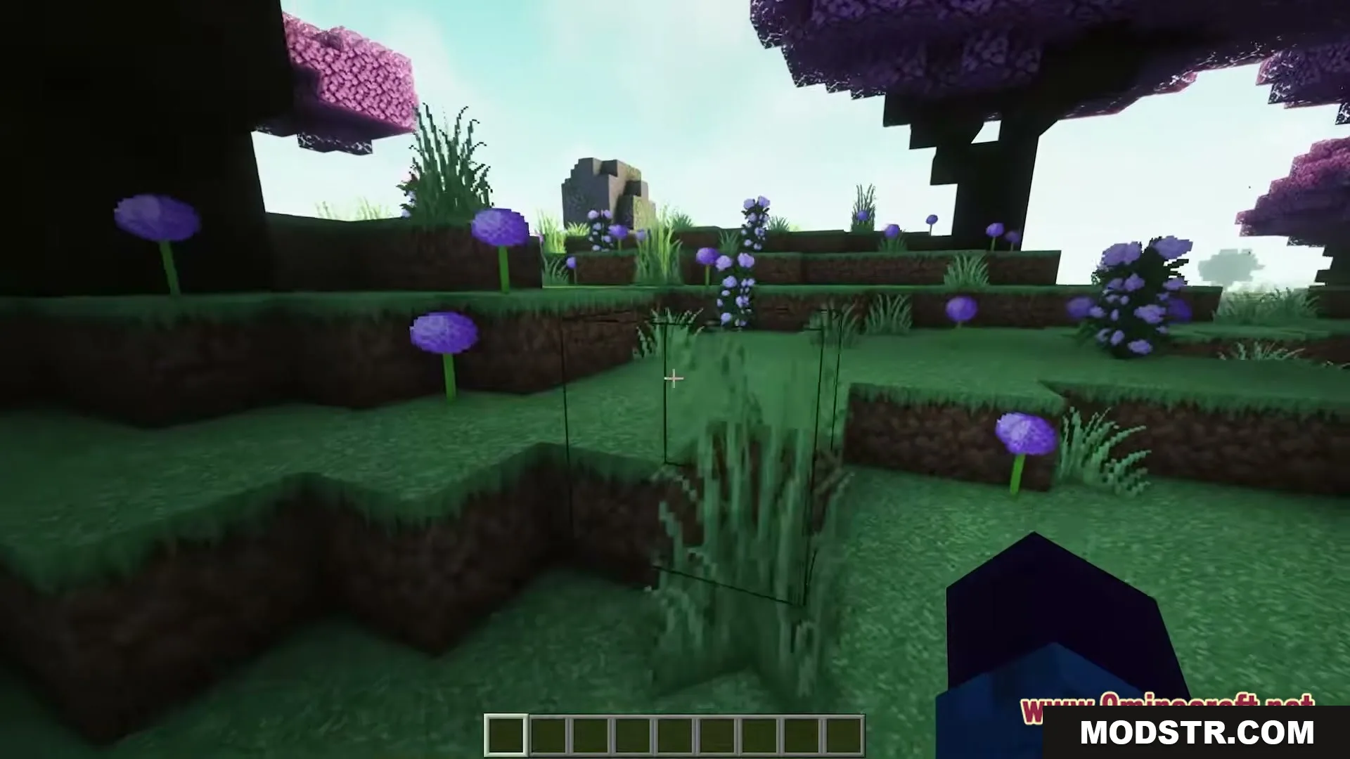 WORLD in CHUNK Map Screenshot 2