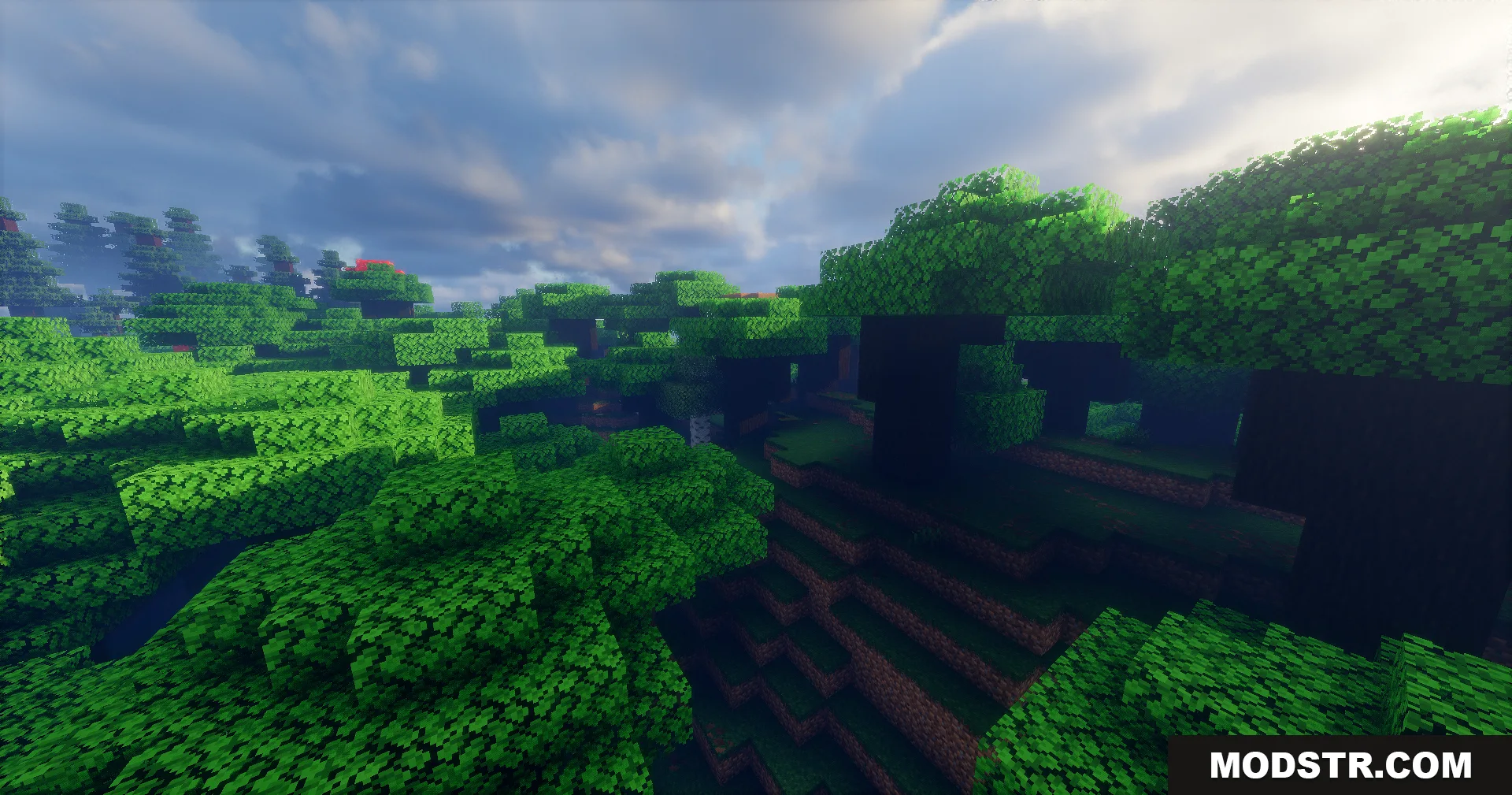 Apex Shaders creates realistic lighting in a dense green forest
