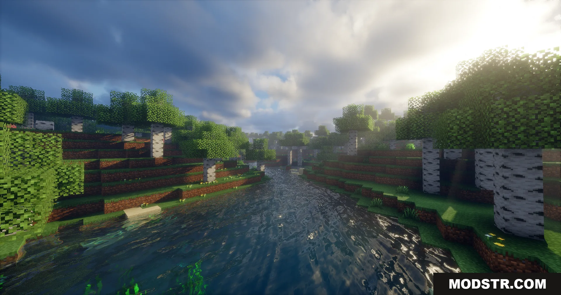 Sunlight rays shining over a river flowing through a dense birch forest