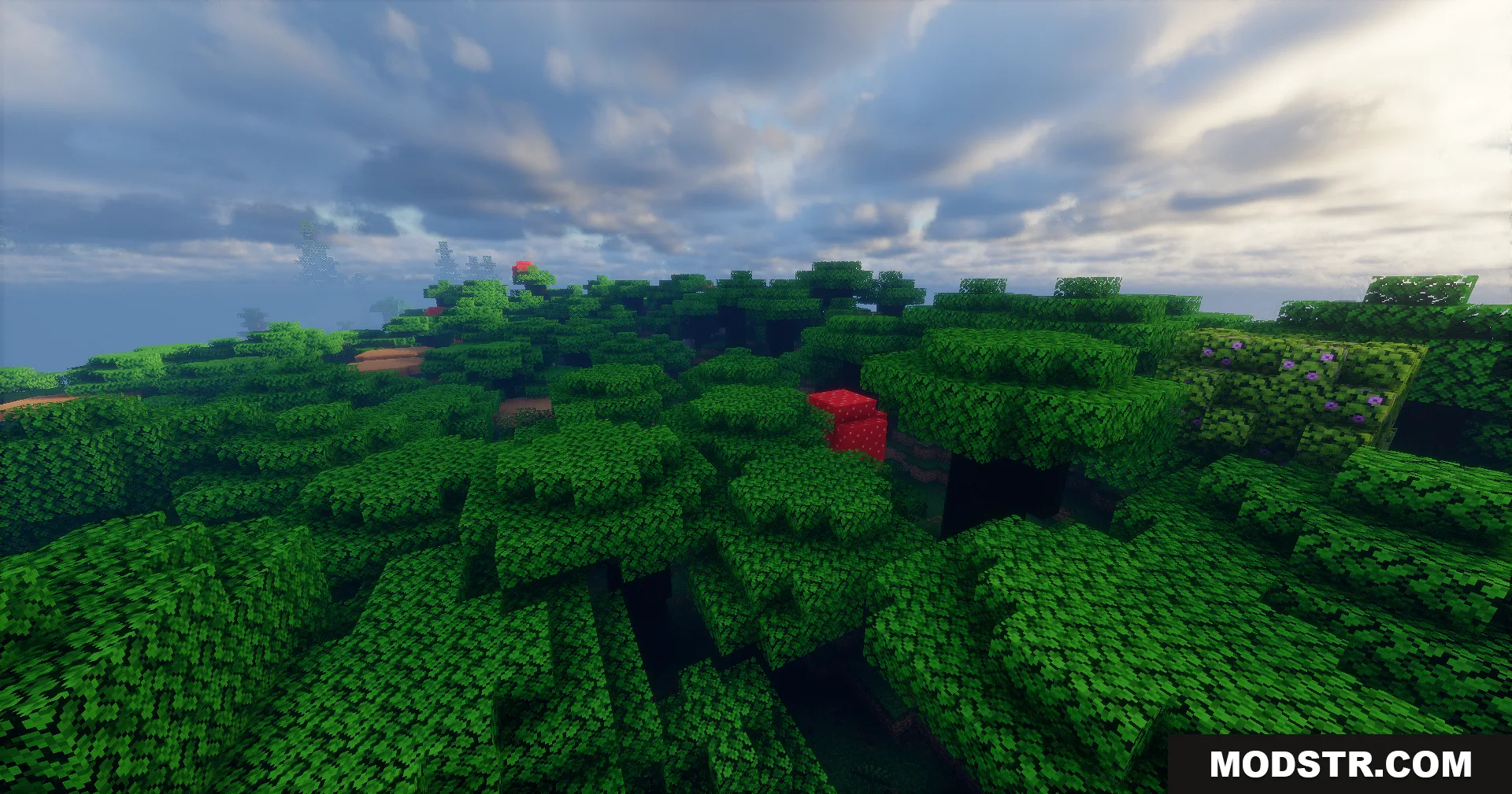 Lush green trees and red mushrooms under a realistic cloudy sky
