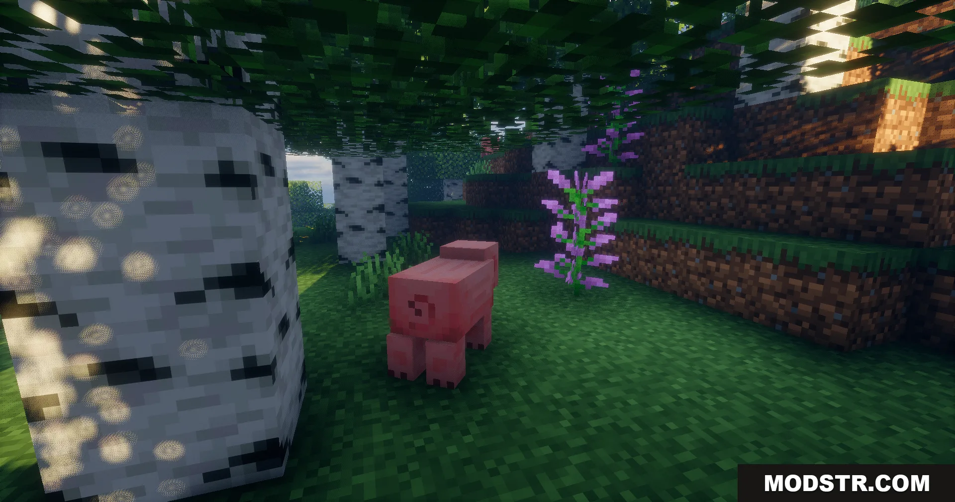 A pink pig stands near purple flowers in a birch forest with shaders