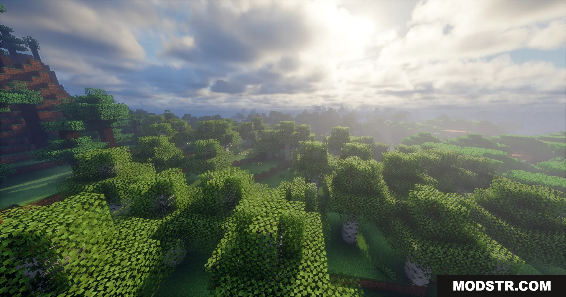 Apex Shaders features volumetric light rays and soft fog in a dense forest