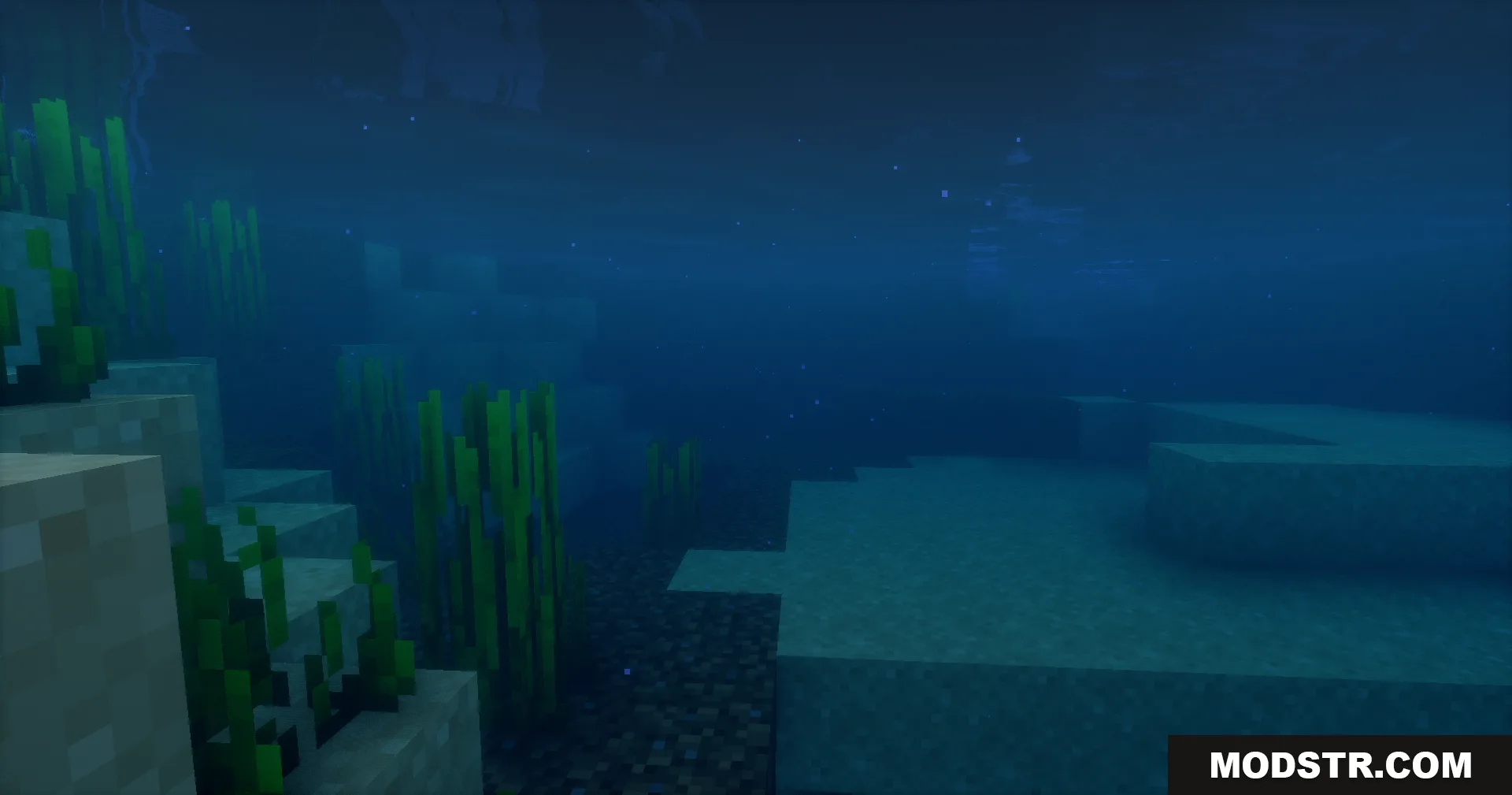 Deep blue water covering green seagrass and blocky terrain in the ocean