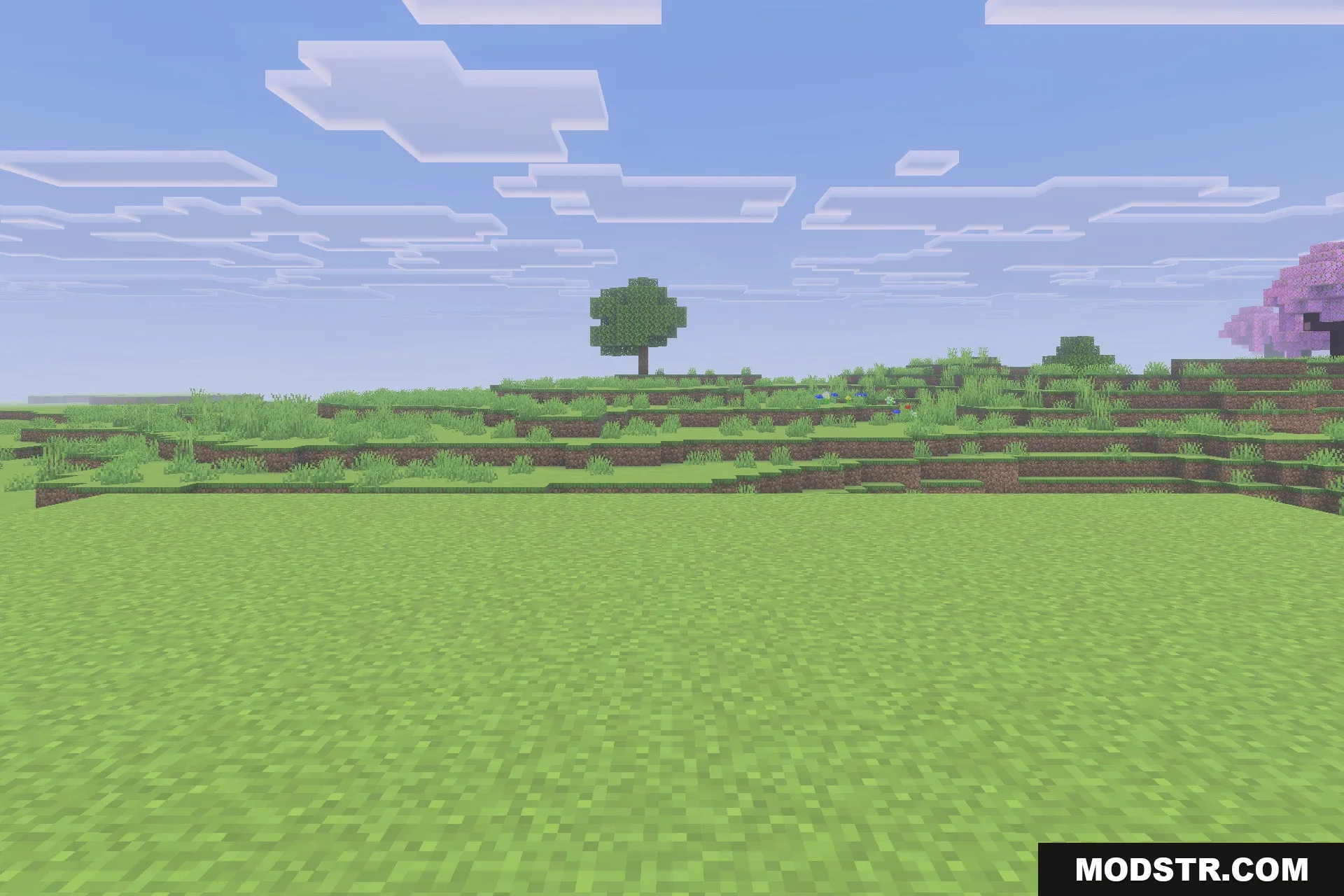 Xnova Remastered Texture Pack Screenshot 3 A vast green Minecraft landscape featuring a single tree under a cloudy sky
